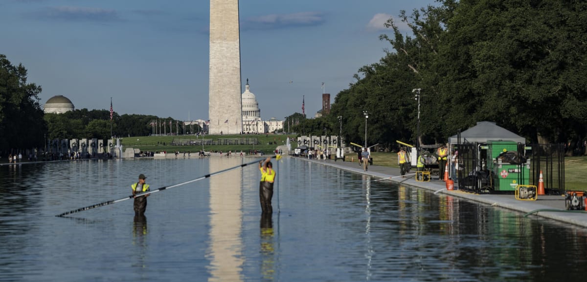 Tiny Water Fleas Could Save DC's Iconic Reflecting Pool