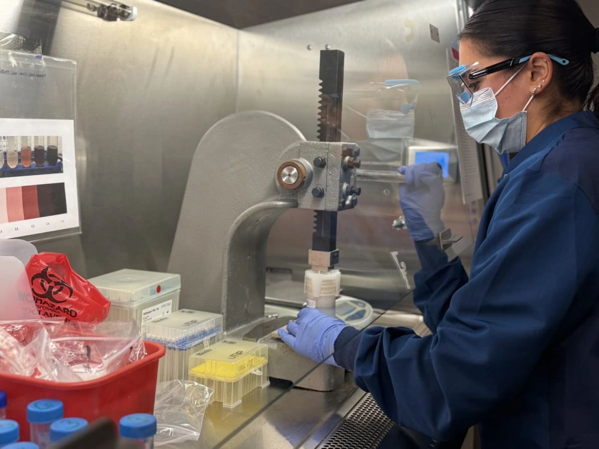 Tampons Could Detect Endometriosis in 90% of Patients - Image 3