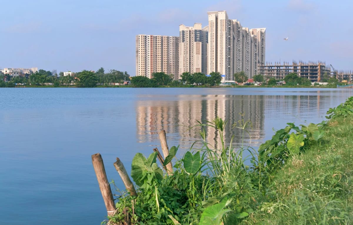 Kolkata's Wetlands Clean 900M Liters of Sewage Daily