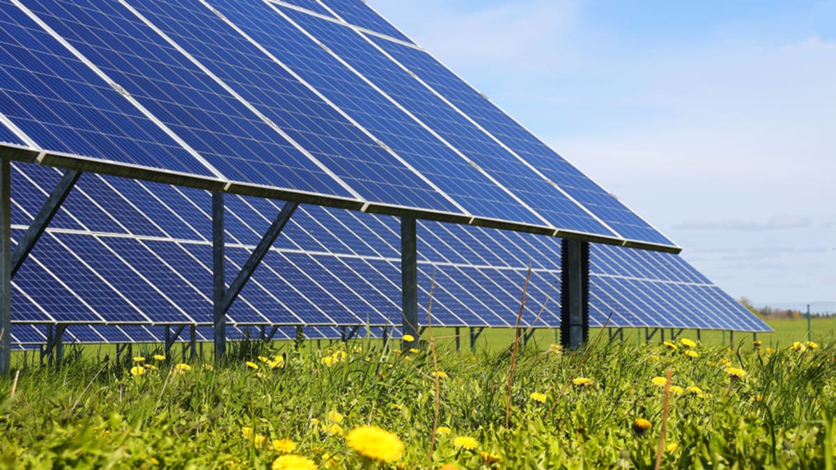 Expansive solar farm with rows of blue photovoltaic panels under bright sunny sky in British countryside