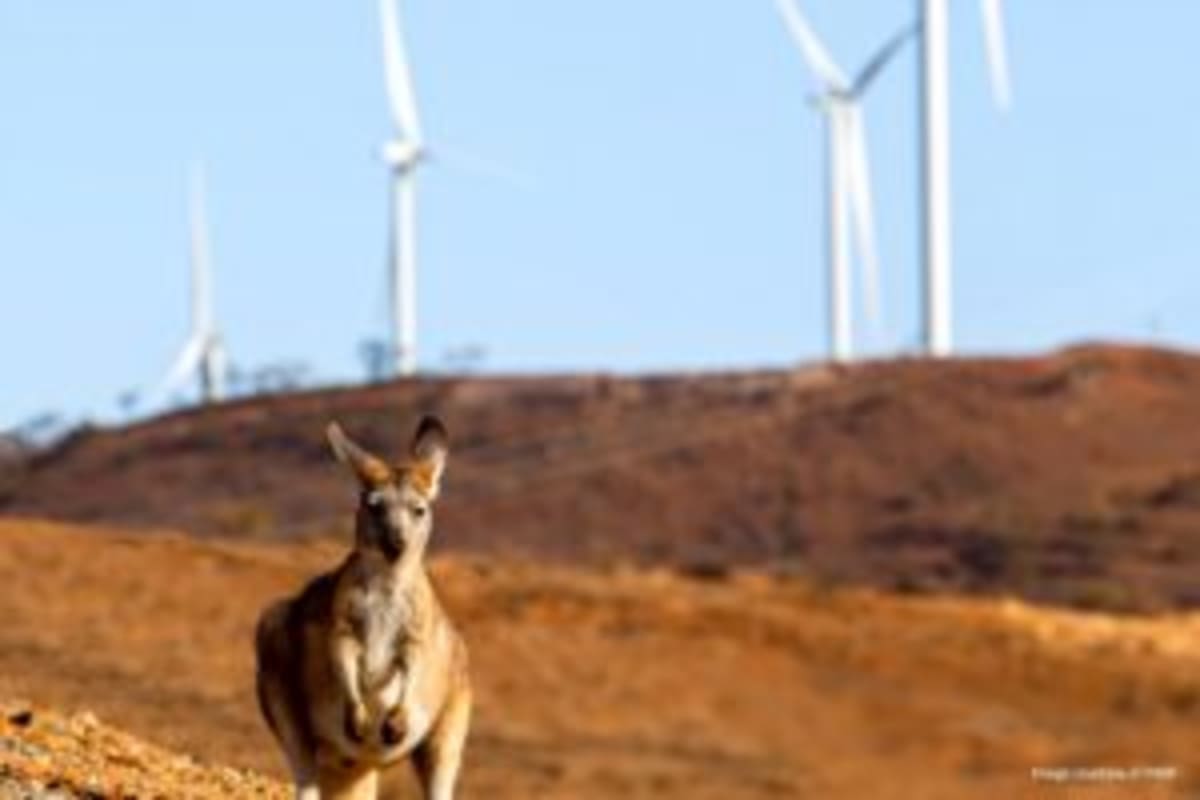 Australia's Grid Hits 80% Renewable Energy for First Time - Image 3