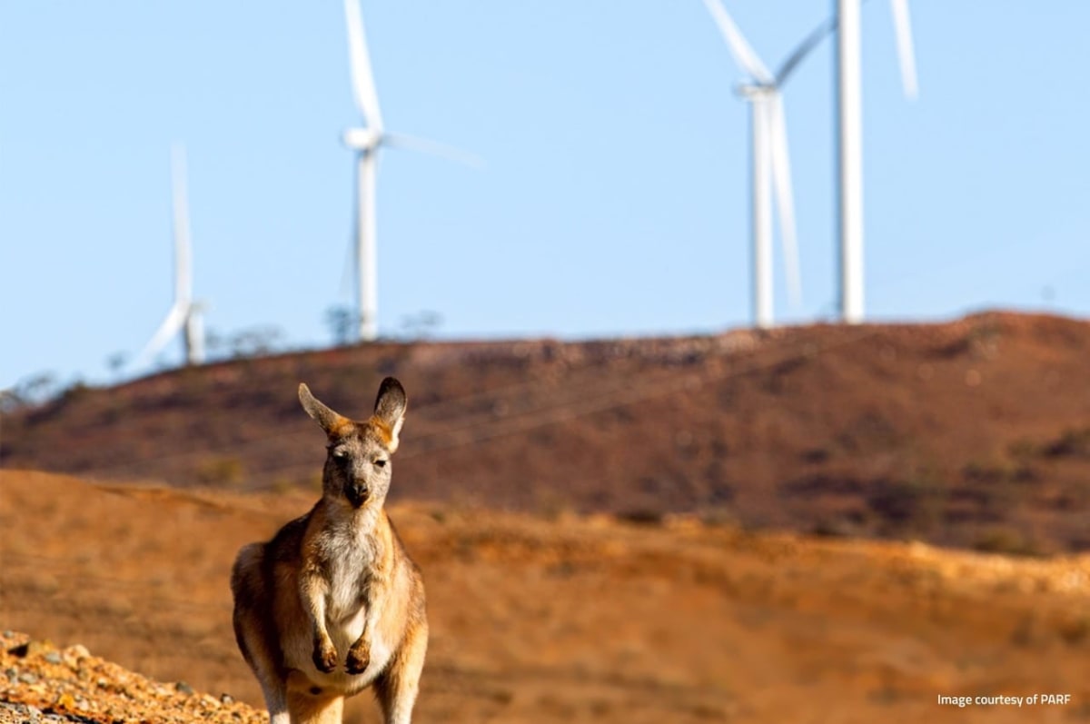 Australia's Grid Hits 80% Renewable Energy for First Time