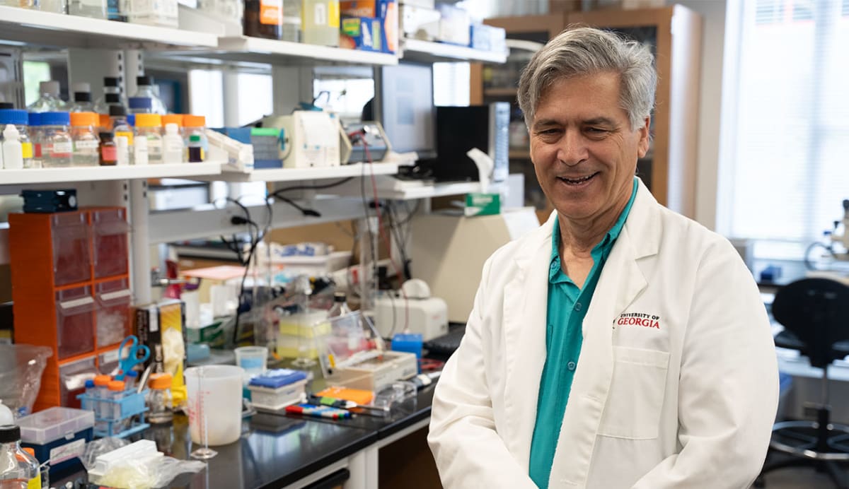 UGA Researchers Close In on Alpha-Gal Tick Allergy Cure - Image 4