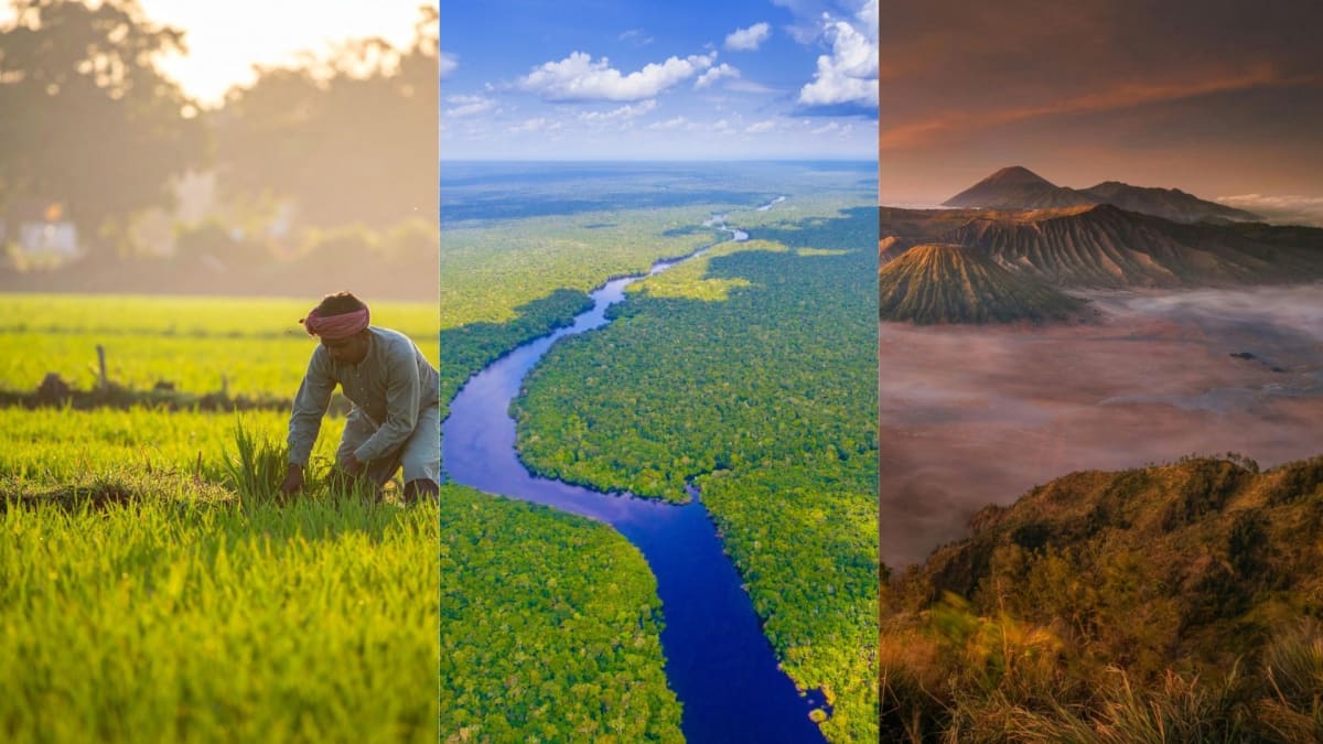 Lush green forest meets farmland showing sustainable land management practices in tropical region