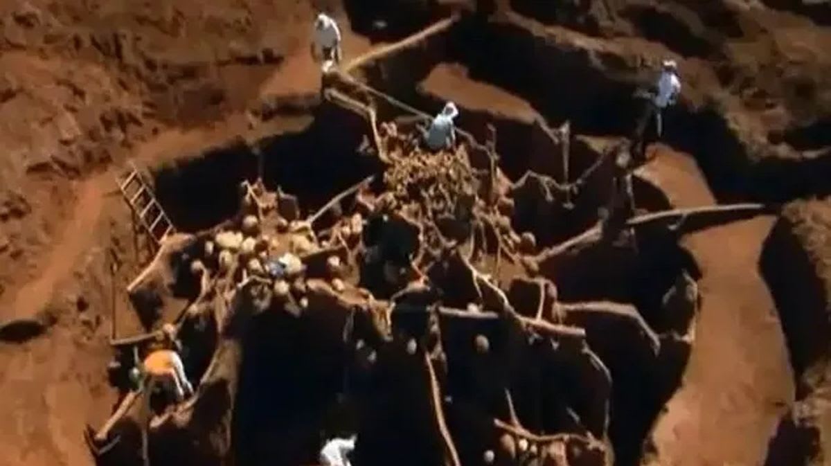 Scientists Pour 10 Tonnes of Cement, Reveal Ant Mega-City