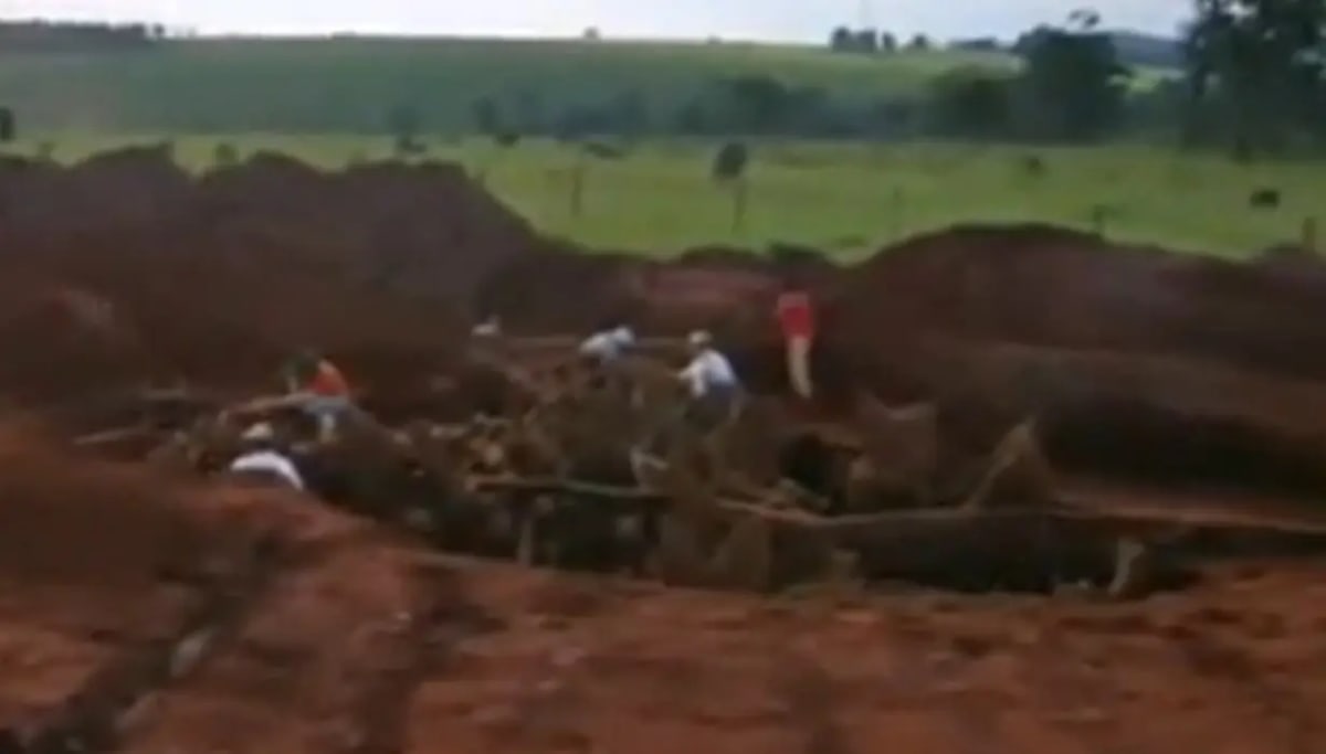 Scientists Pour 10 Tonnes of Cement, Reveal Ant Mega-City - Image 3