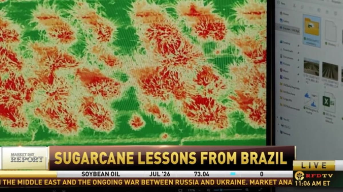 Louisiana Sugarcane Researchers Learn from Brazil's Success