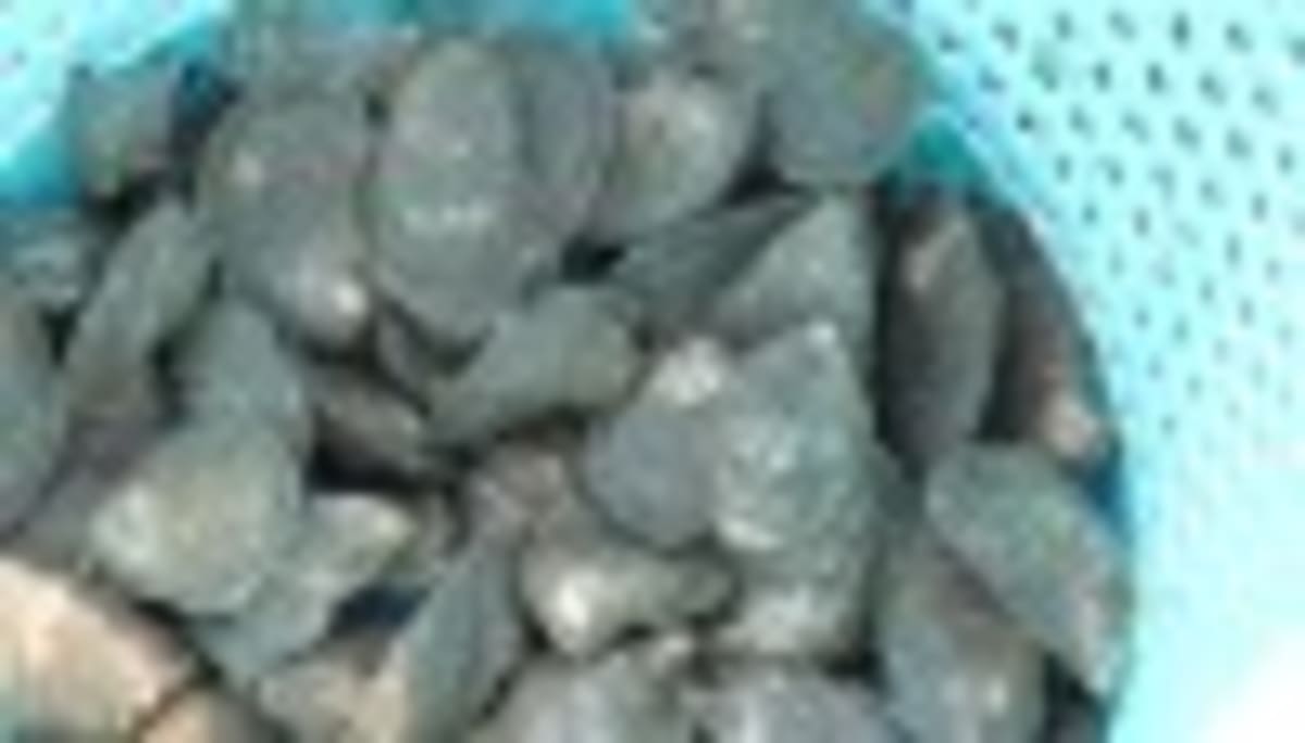 Louisiana's New Grain Bin Rescue Trailer Saves Lives - Image 4