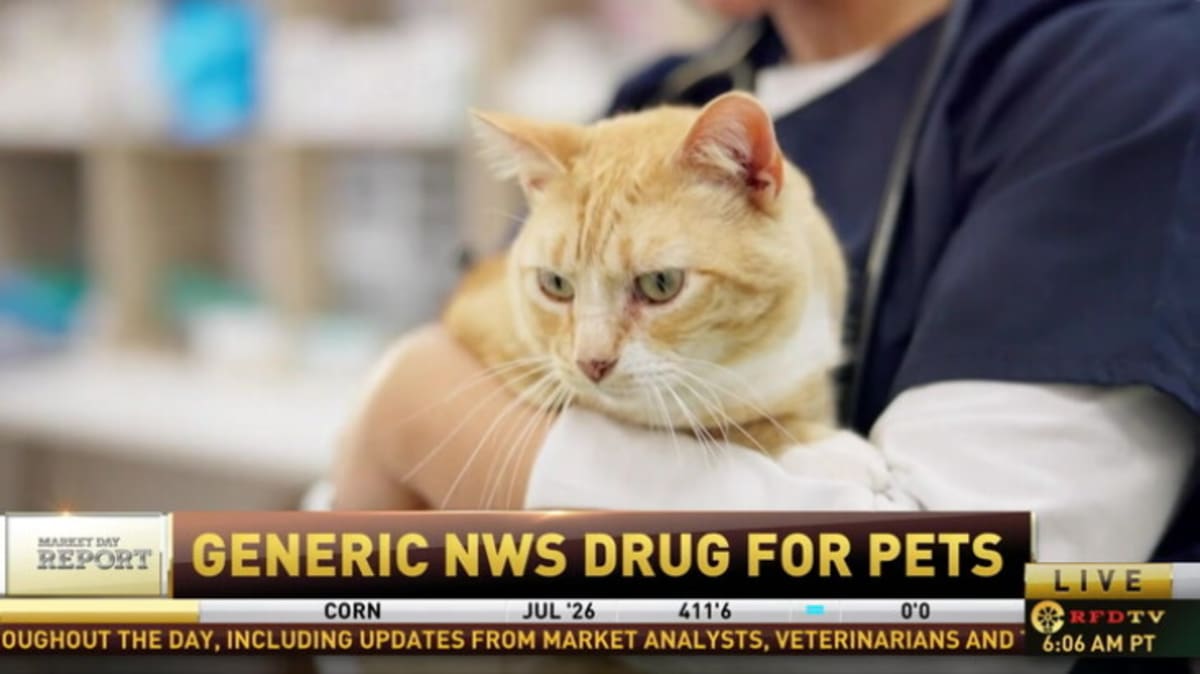 FDA Approves First OTC Screwworm Treatment for Pets