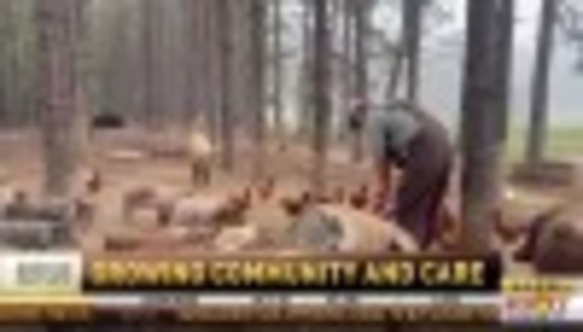 Louisiana's New Grain Bin Rescue Trailer Saves Lives - Image 3