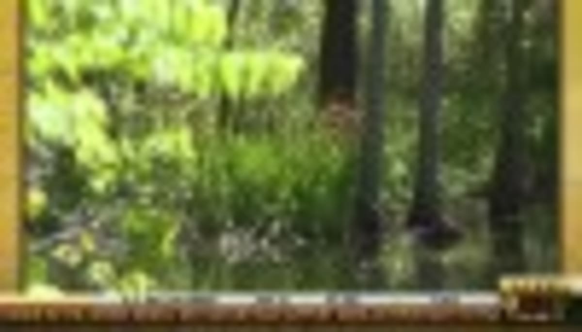 Louisiana's New Grain Bin Rescue Trailer Saves Lives - Image 2