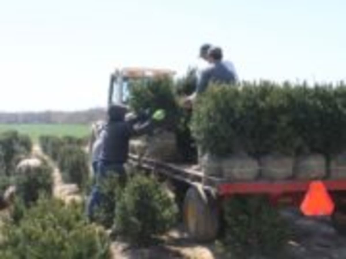 NY Civic Group Offers $3K Scholarship for Young Helpers - Image 2