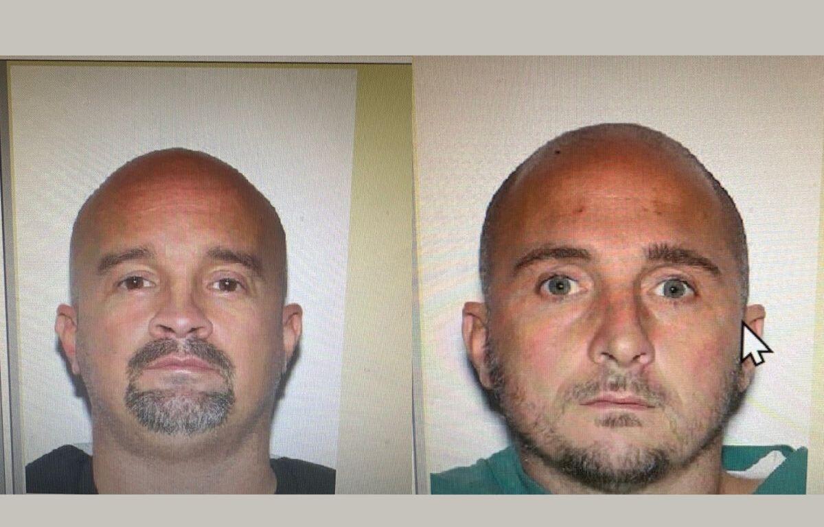 Harrisonburg Plants 30,000 Trees to Clean Chesapeake Bay - Image 5