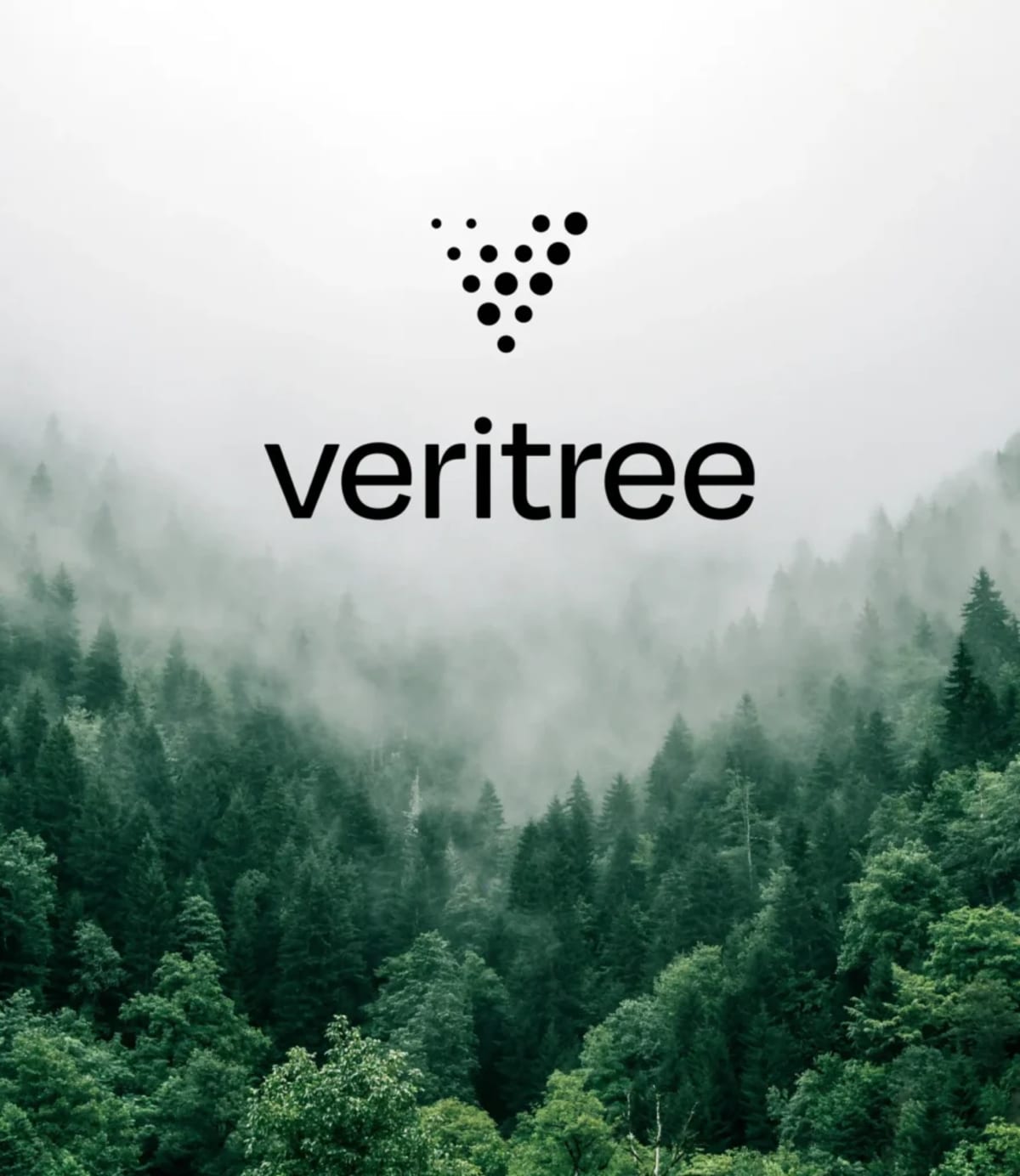 Solar Company Plants 30,000 Trees to Mark 30th Anniversary