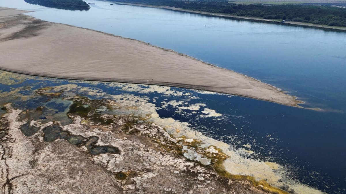Bulgaria's Drought Reveals Mammoth Bones, Sparks Fossil Hunt - Image 2