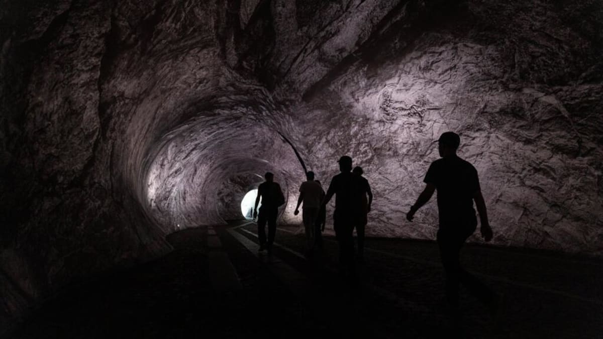 Paris Bridge Transforms Into Cave Art Experience for Free - Image 2
