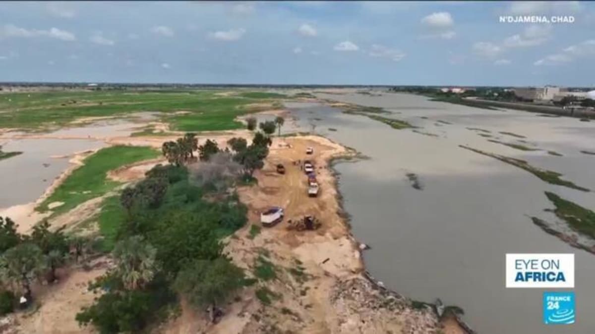 Senegal's 200-Year Pirogue Racing Tradition Draws Thousands - Image 5