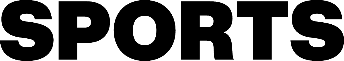 French Paralympians Win Two Medals in Alpine Skiing - Image 3