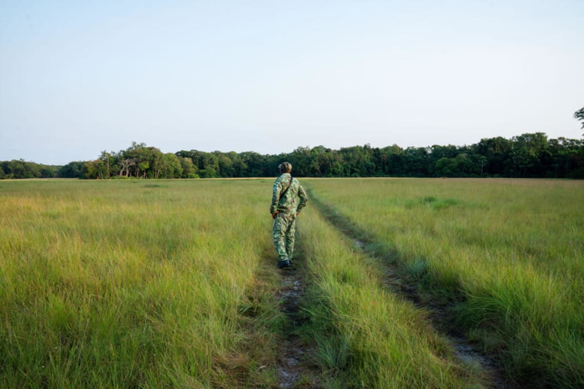 Gabon Rangers Protect Sea Turtles Despite Going Unpaid - Image 5
