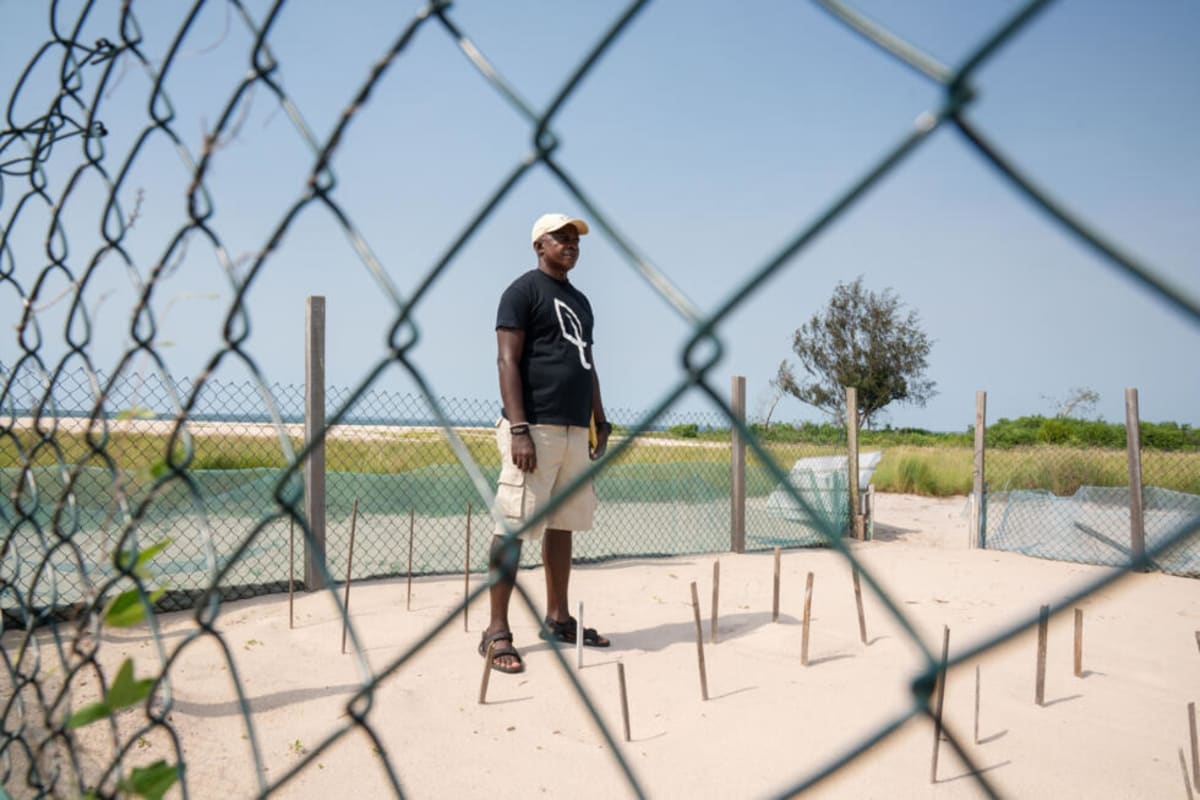 Gabon Rangers Protect Sea Turtles Despite Going Unpaid - Image 3