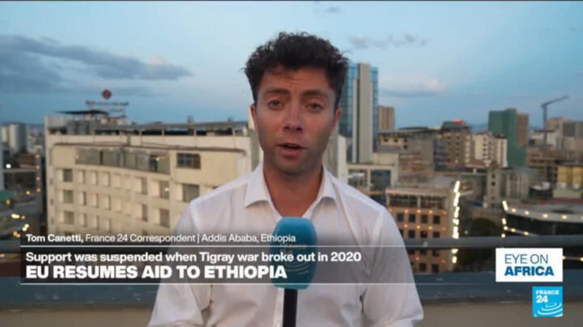 French Lily Farmers Celebrate Early Spring Bloom - Image 5