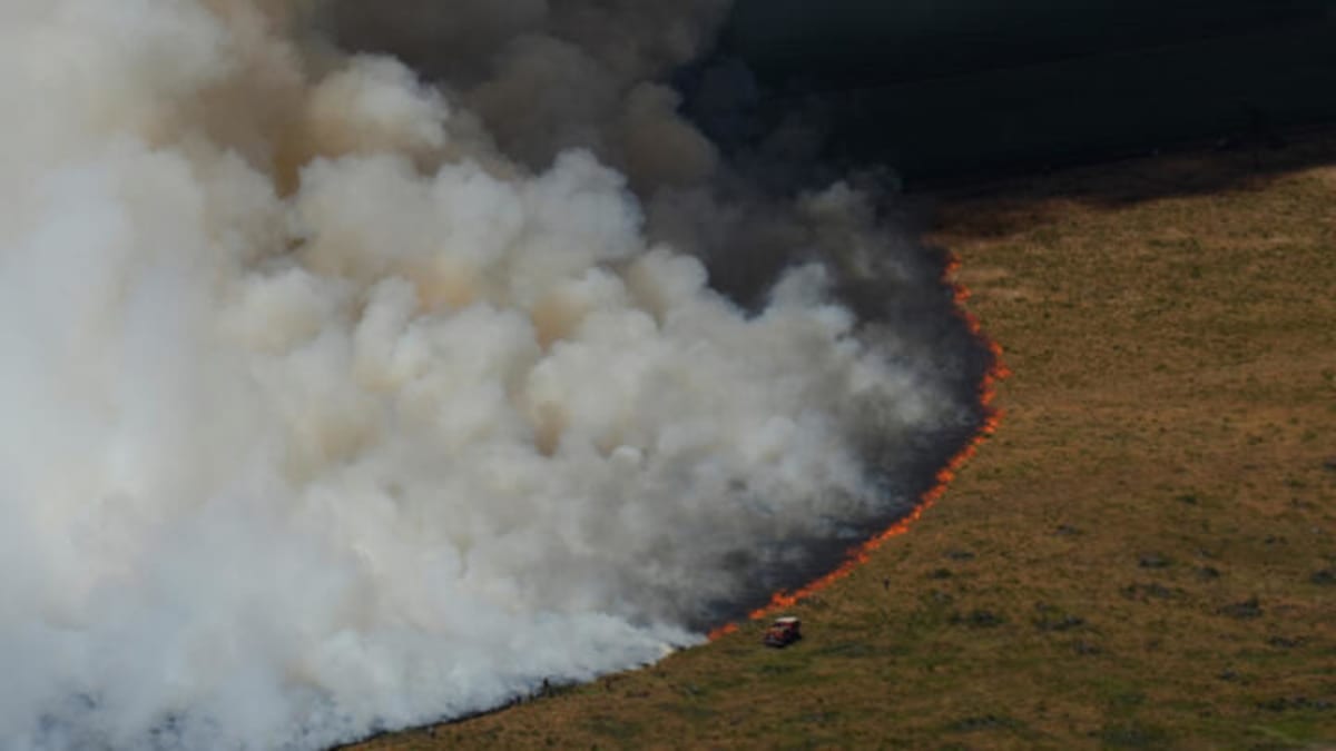 French Army Deploys 1,500 Troops to Fight Gironde Fires - Image 5