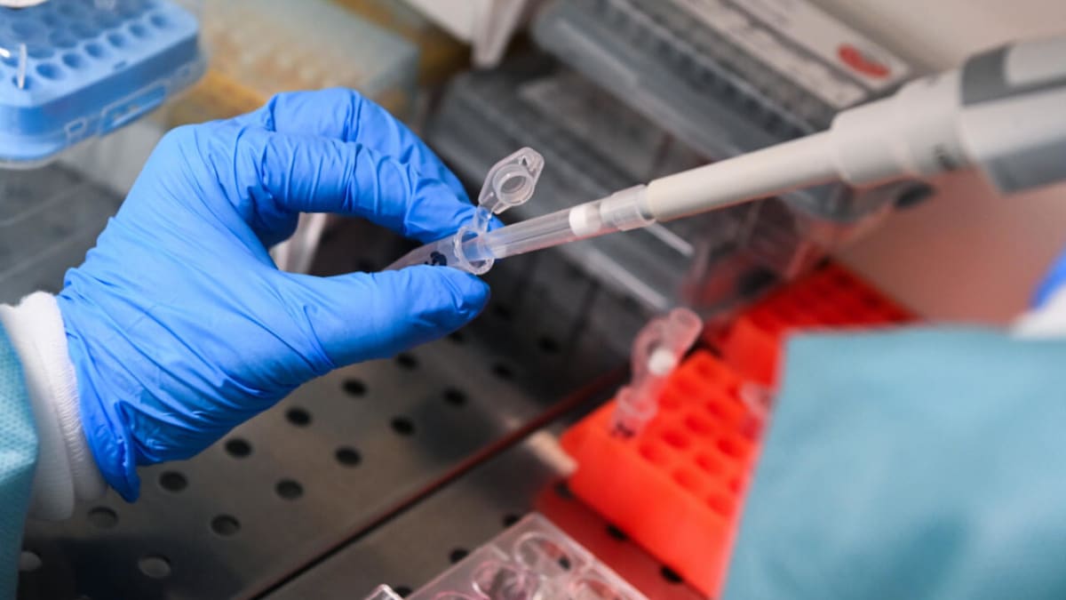 New Pancreatic Cancer Drugs Double Patient Survival Time