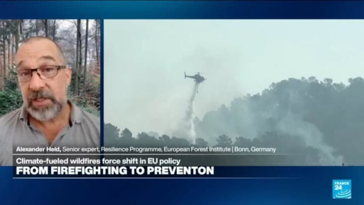 Reforestation Can Combat Desertification, Expert Says - Image 5