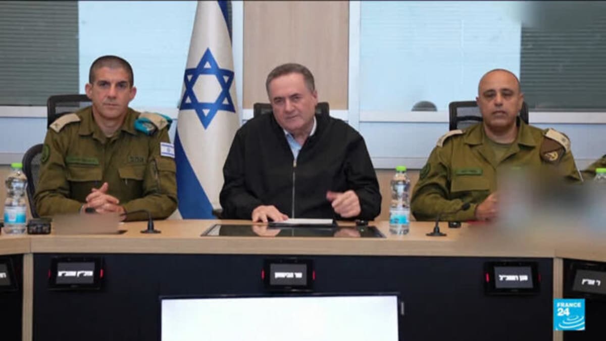 Cape Leopards Return After 170 Years in South Africa - Image 3