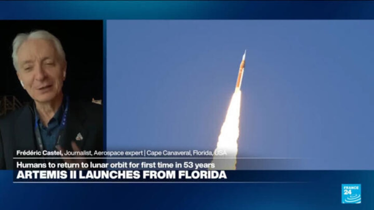 LA Wildfire Survivor Plants Poppies Across Charred Town - Image 3