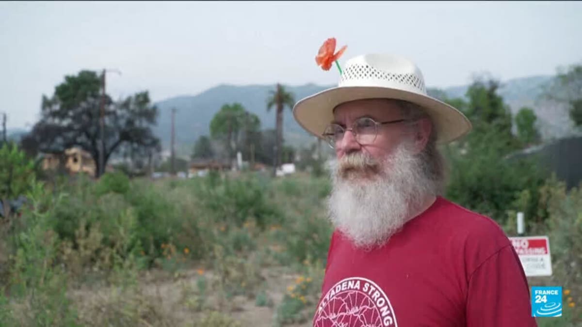 LA Wildfire Survivor Plants Poppies Across Charred Town - Image 2
