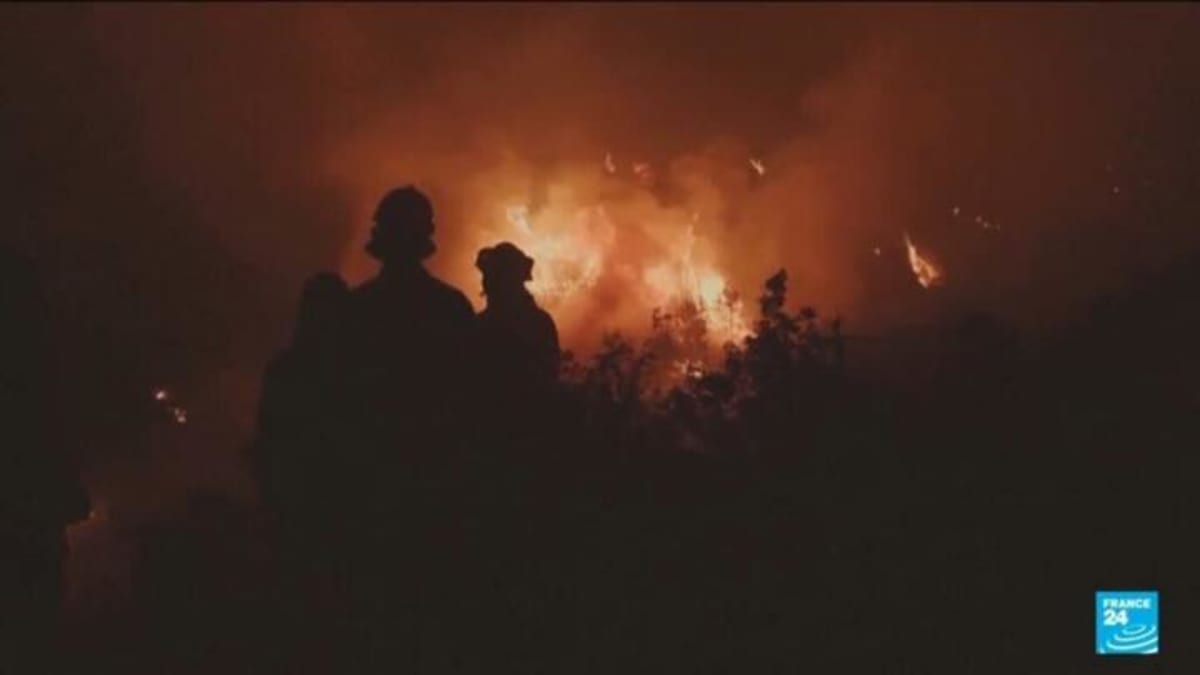 Four Nations Rush Firefighters to Help Belgium Battle Blaze - Image 5