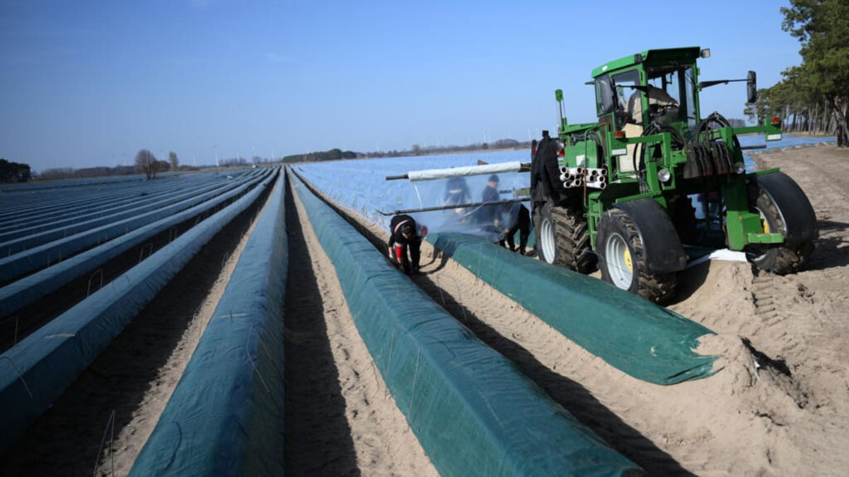 EU and Australia Sign Free Trade Deal After 8 Years - Image 2