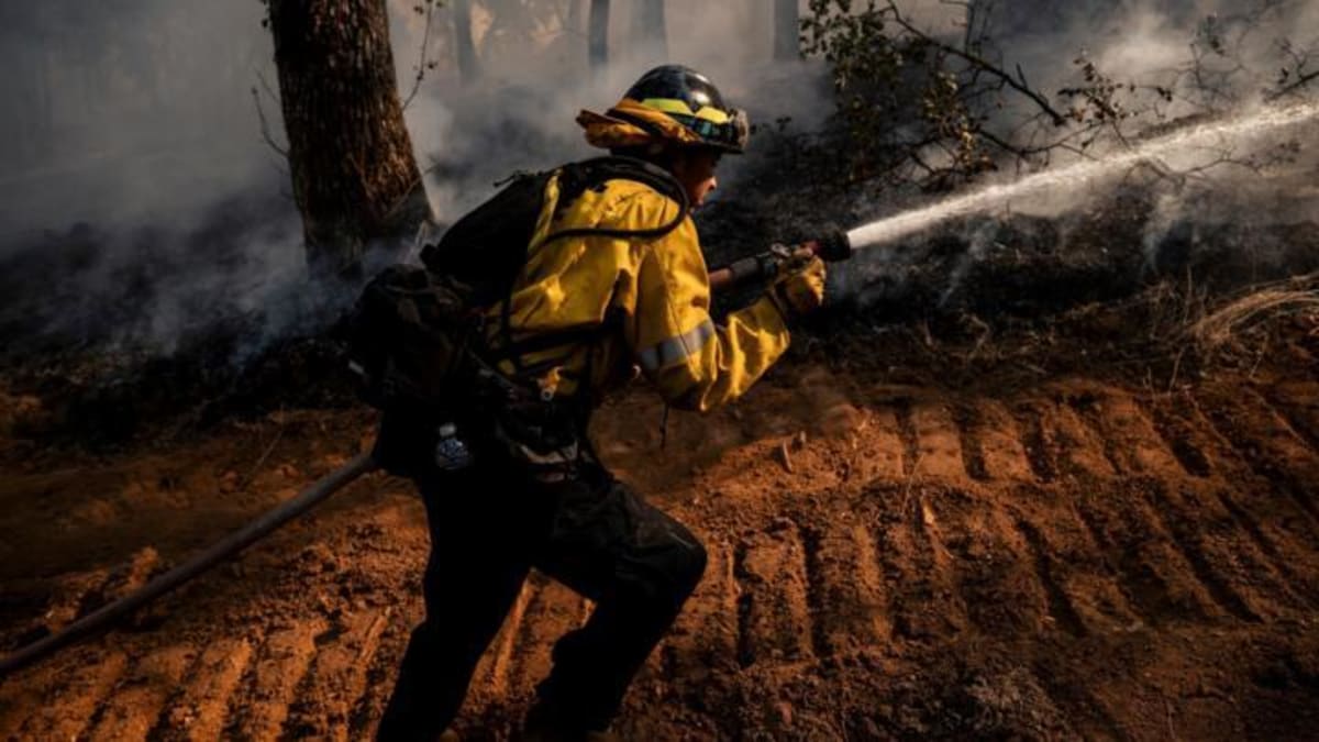 Four Nations Rush Firefighters to Help Belgium Battle Blaze - Image 4