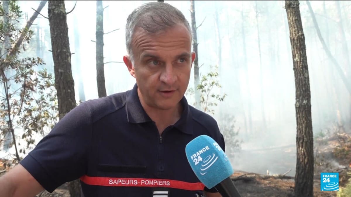 French Couple Rescues 100 Pets From Wildfire Chaos - Image 4