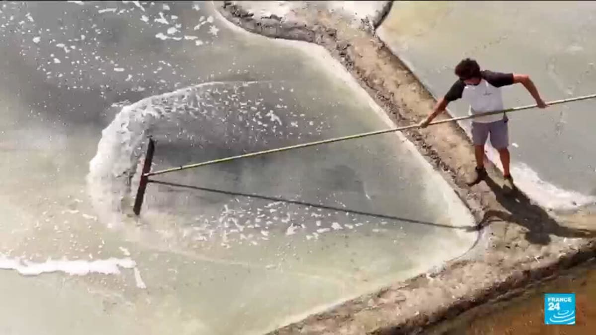 France's Heatwave Creates Bumper Salt Harvest in Guérande - Image 2