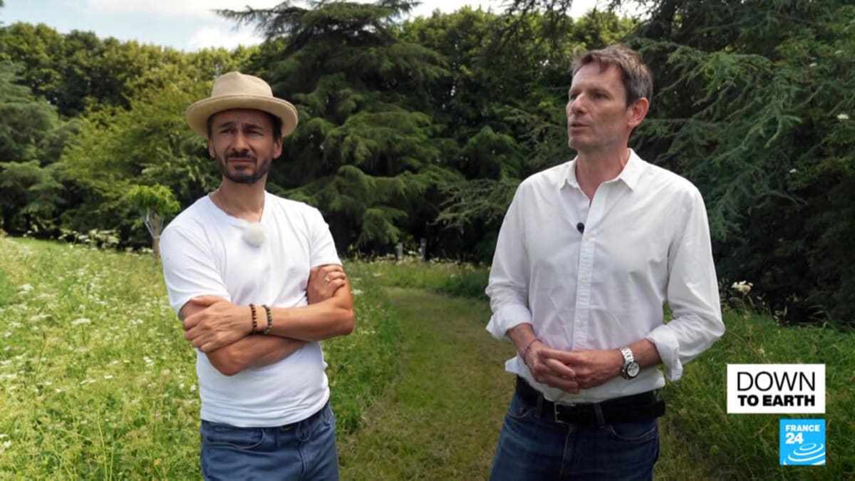 French Millionaires Buy Land to Rewild Nature - Image 2