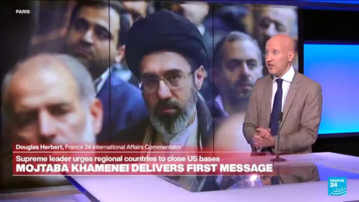 Cape Leopards Return After 170 Years in South Africa - Image 4