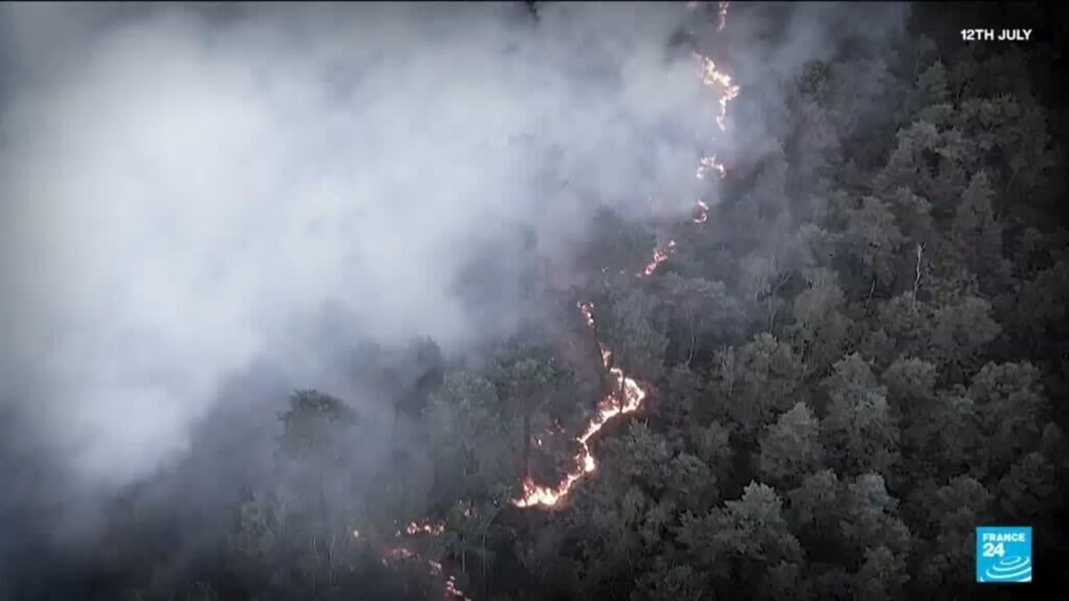 France Reopens Fontainebleau Forest After Major Wildfire - Image 2
