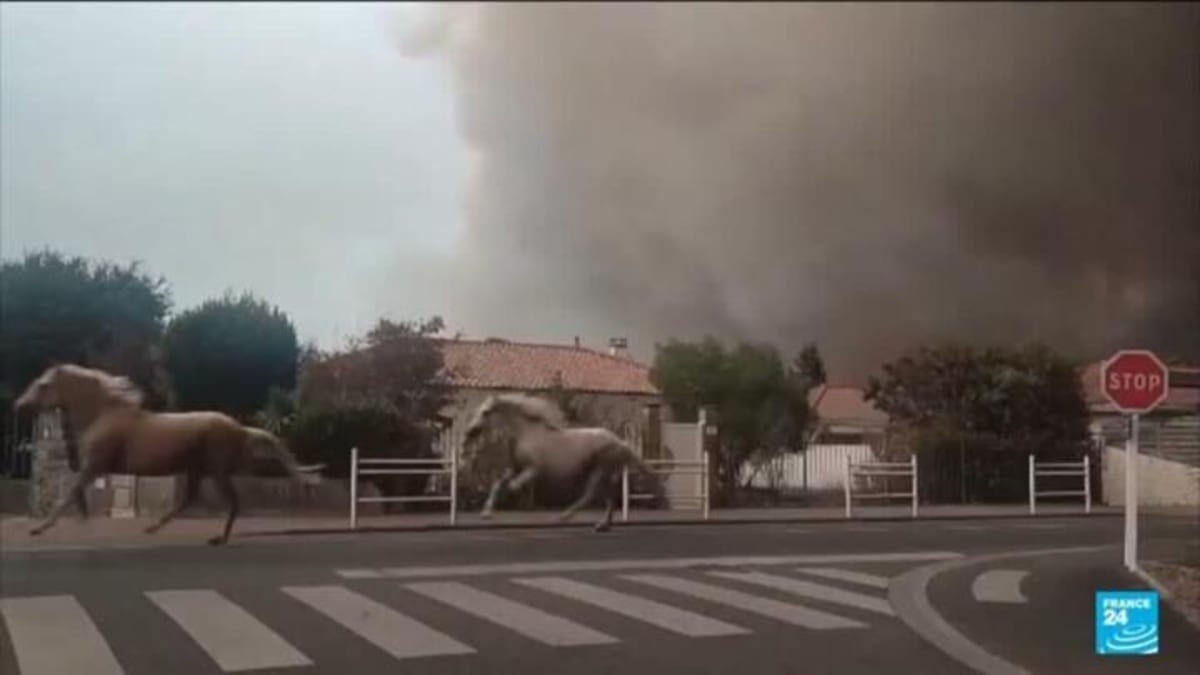 French Farmers Drive Water Tankers to Battle Historic Fires - Image 4