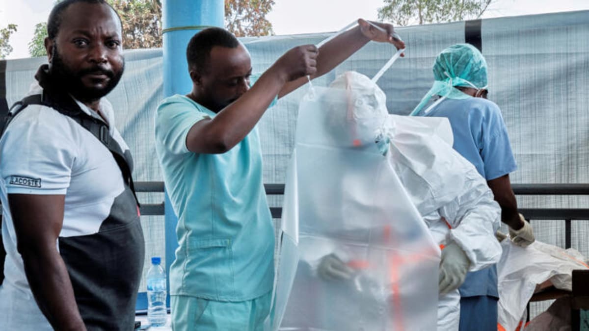 Congolese Entrepreneurs Return Home to Build Businesses - Image 3