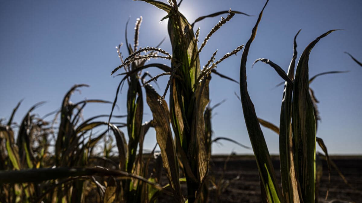France Commits €1 Billion to Aid Climate-Hit Farmers - Image 2
