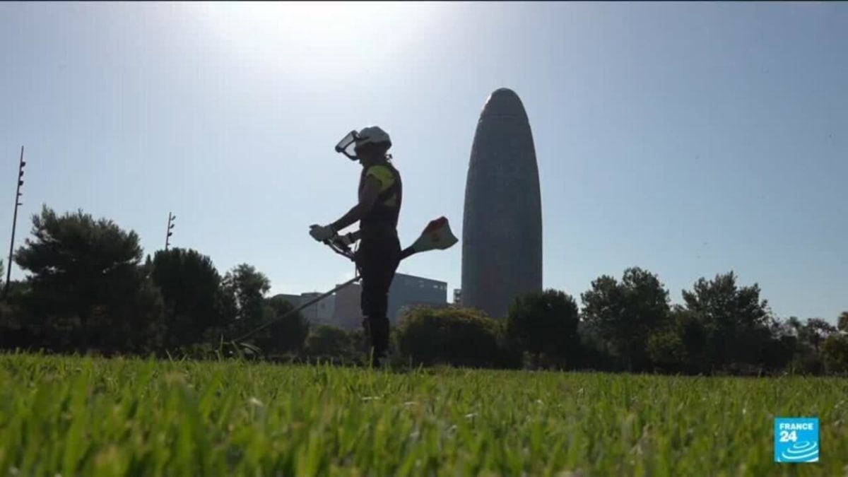 ** Spanish workers adjusting schedules during summer heatwave under new climate protection policy