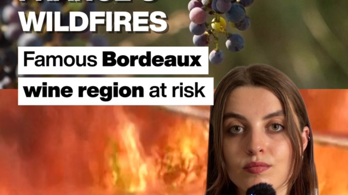 224,000 French Wildfire Evacuees Head Home After Big Win - Image 5