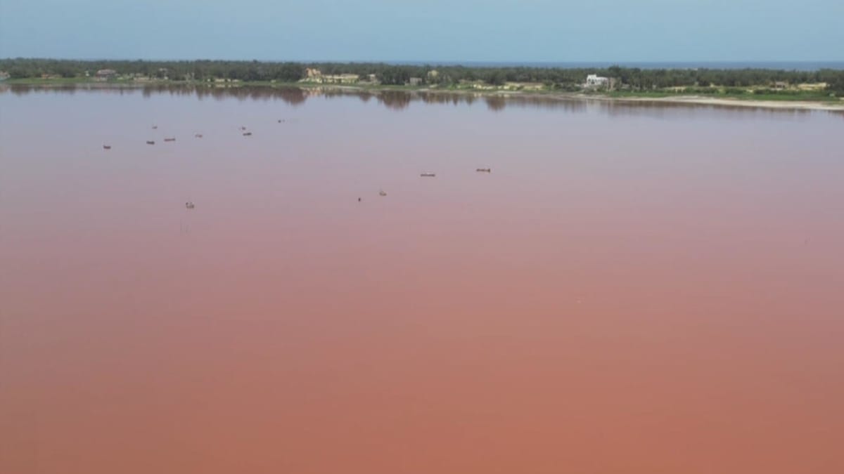 Senegal's Pink Lake Returns to Life After Devastating Floods - Image 2