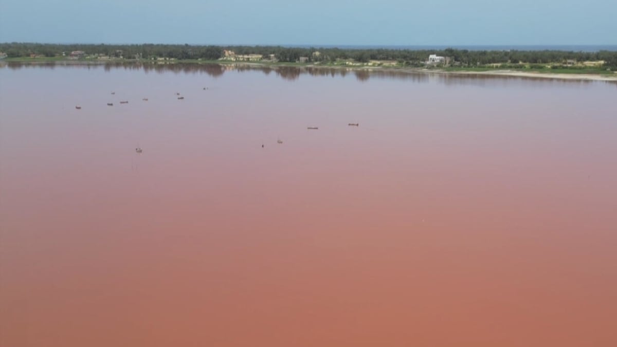 Senegal's Pink Lake Returns to Life After Devastating Floods