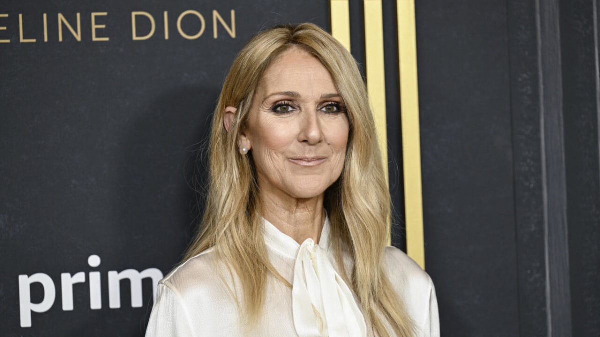 Céline Dion smiling at event in elegant outfit before health hiatus