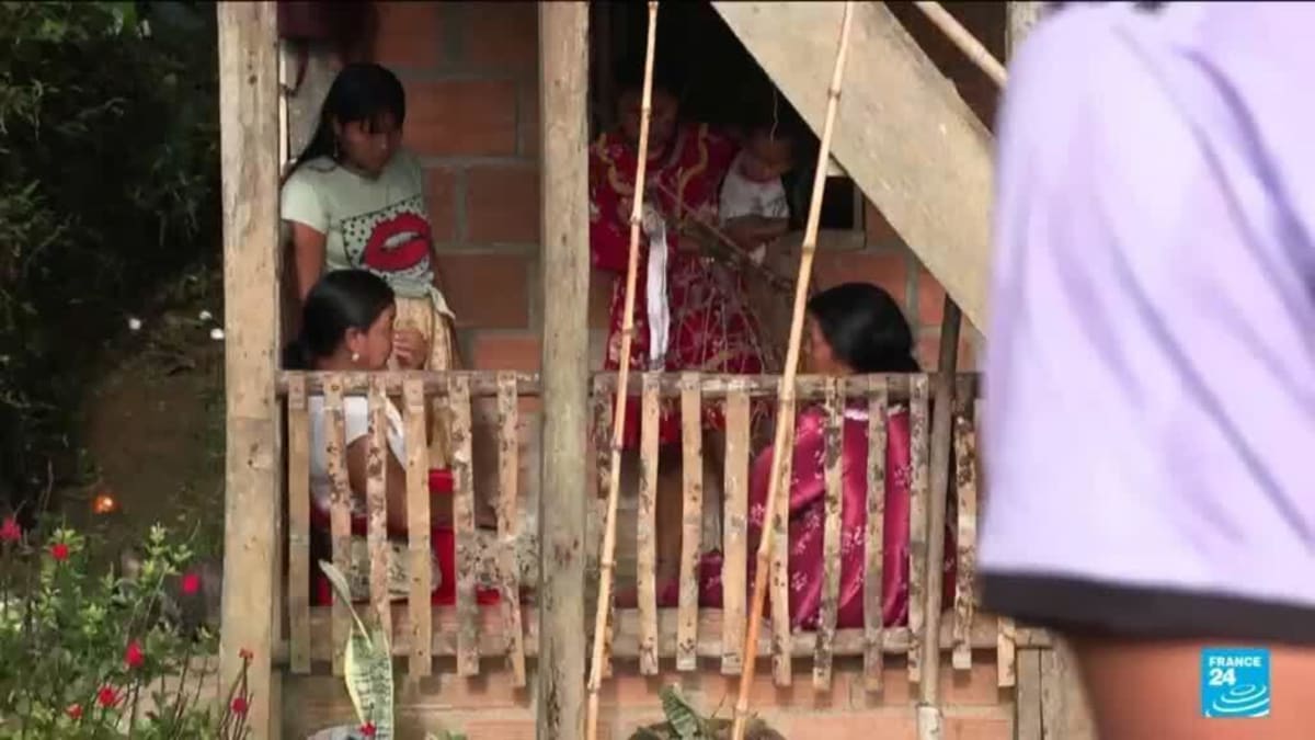 Indigenous Women Lead Colombia's FGM Ban Bill - Image 2