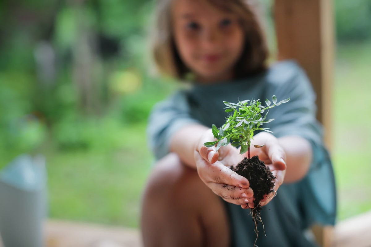 Climate Education Creates Millions of Green Jobs by 2050