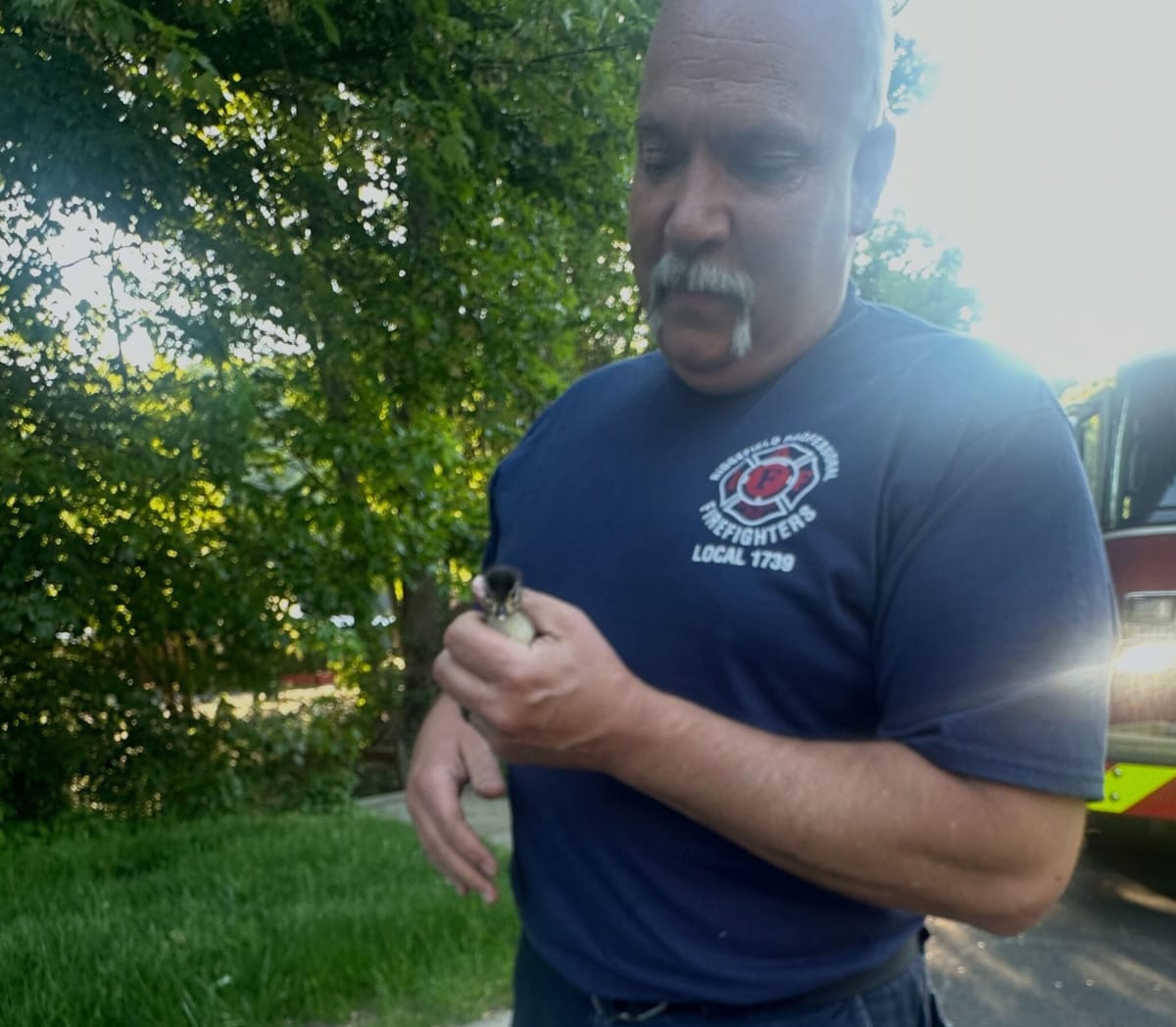 Ridgefield firefighter Mike Gesmondi holding rescued duckling after storm drain rescue on Danbury Road